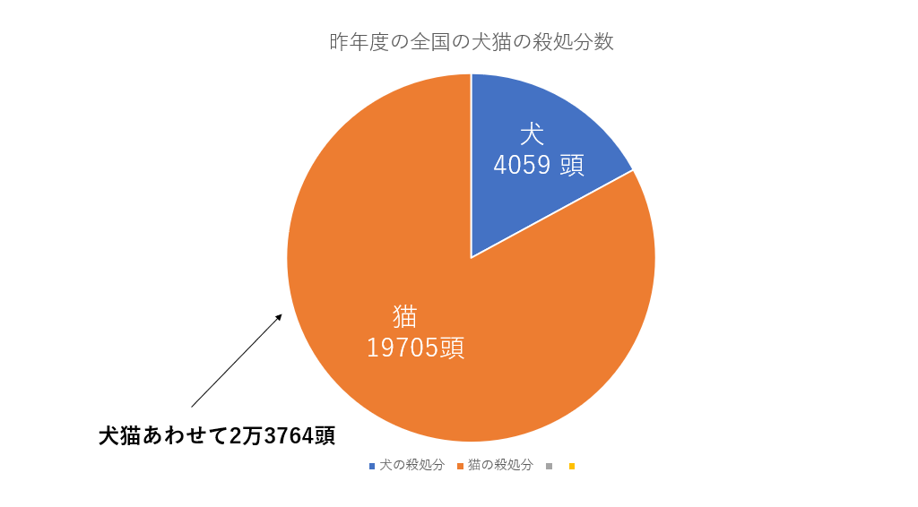 昨年度の全国の犬猫の殺処分数、犬4059頭、猫19705頭、犬猫あわせて2万3764頭